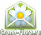 Логотип компании Доставка цветов Гранд Флора (ф-л г.Тимашевск)